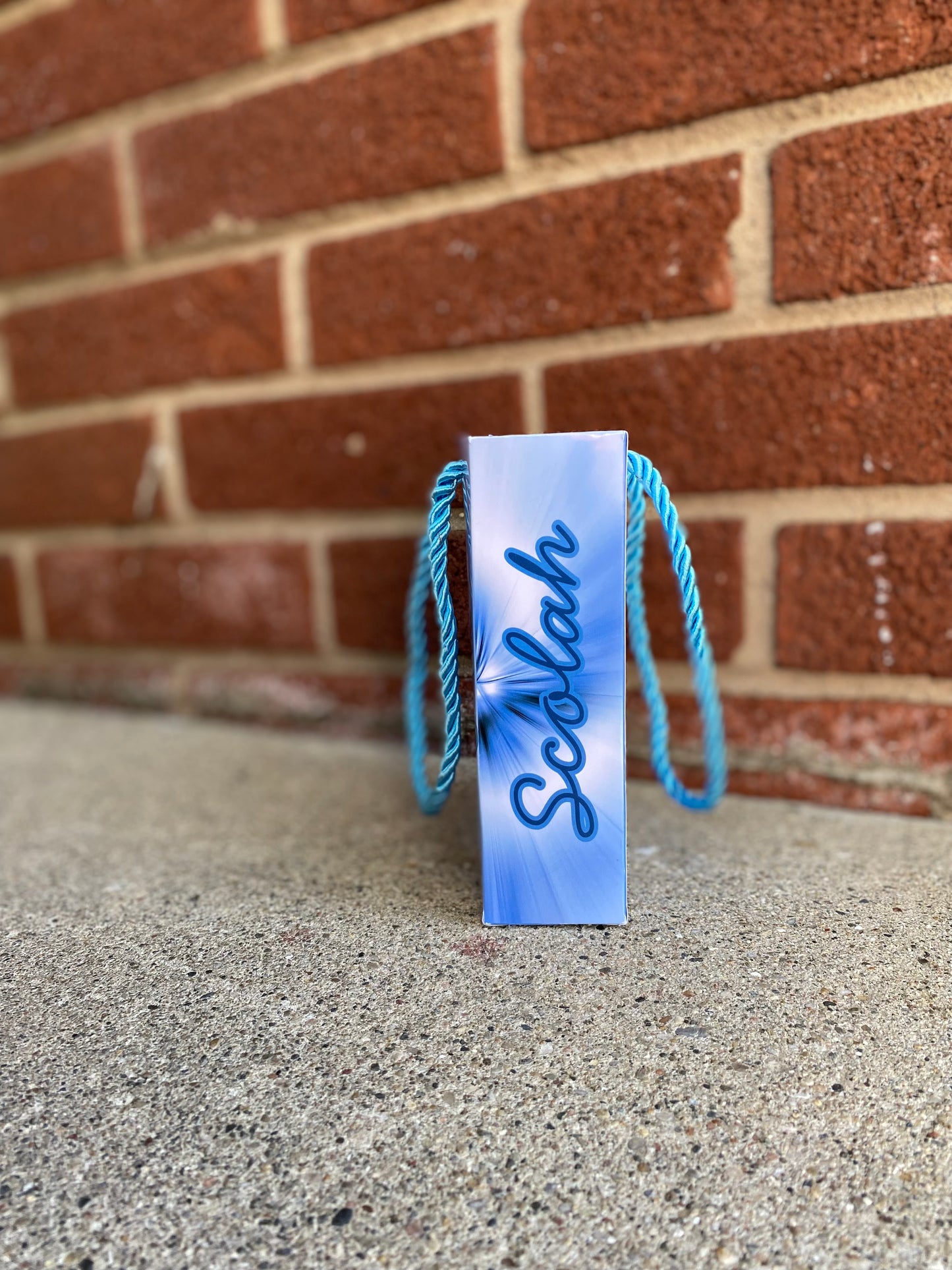 Custom Party Favor bags